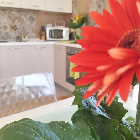 Casa Valvo * Lido di Noto
