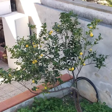 Casa Valvo Apartment Lido di Noto